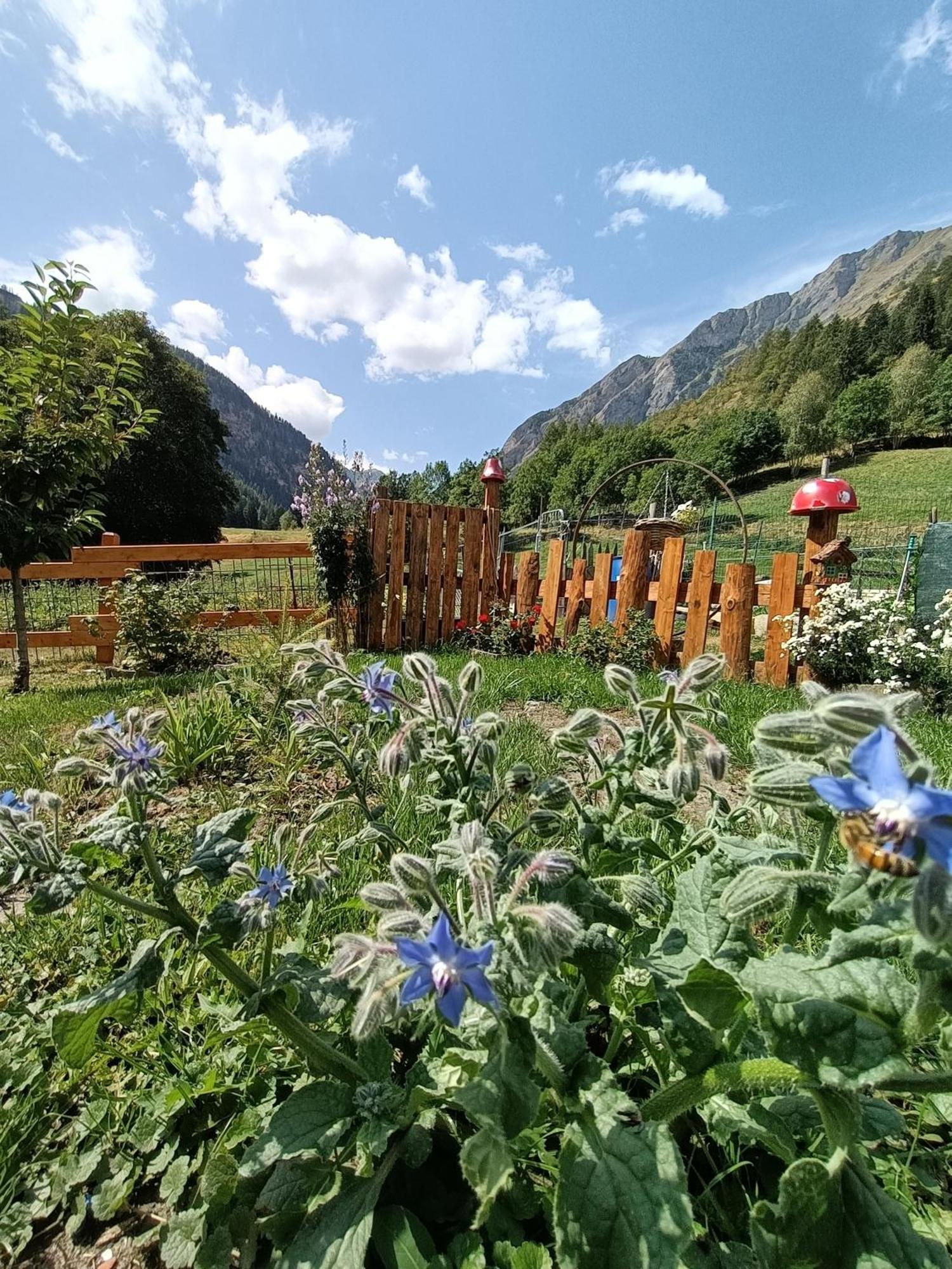 Guest house La Barma