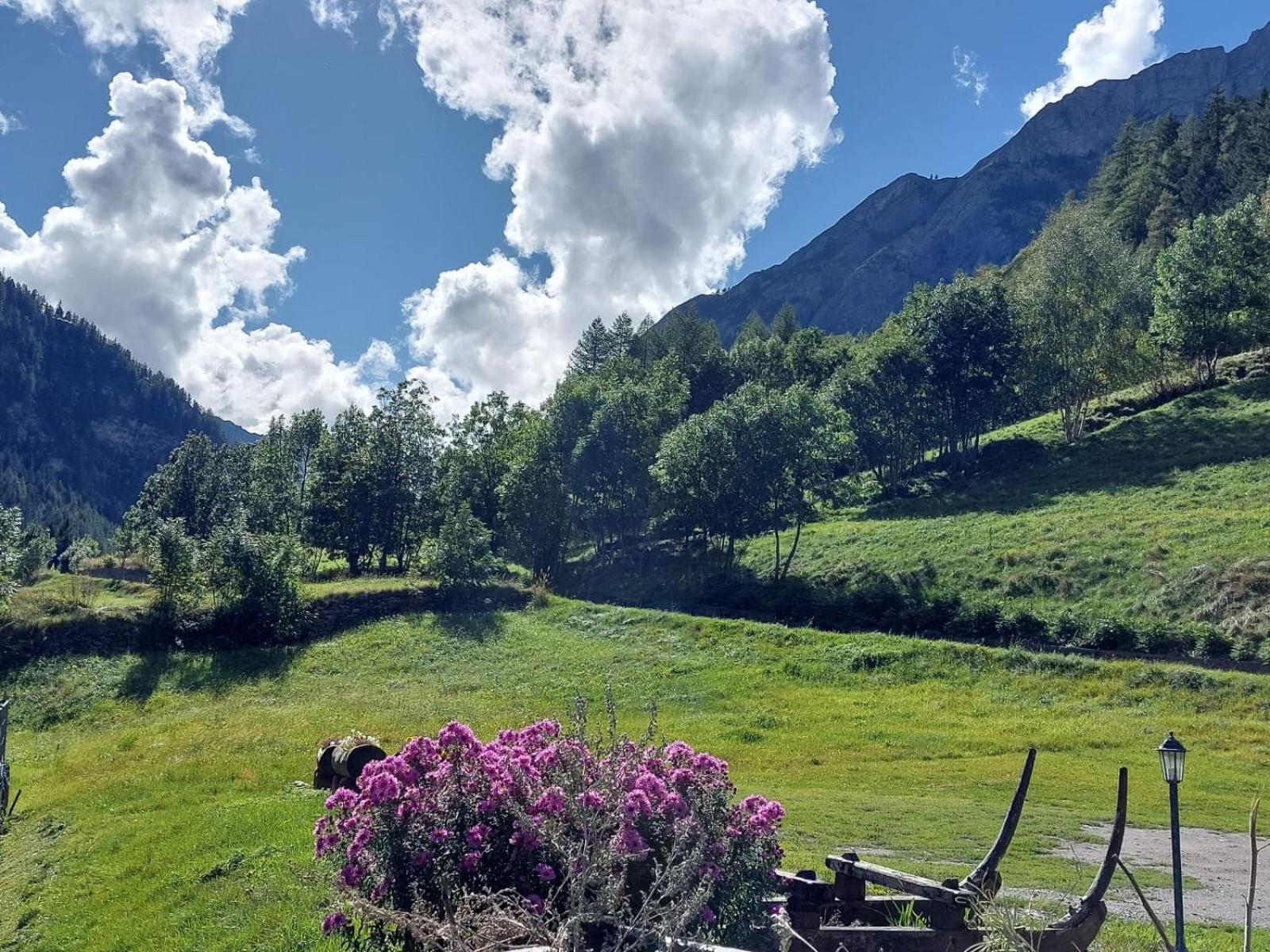 La Barma *
